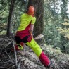 Vestuario forestal